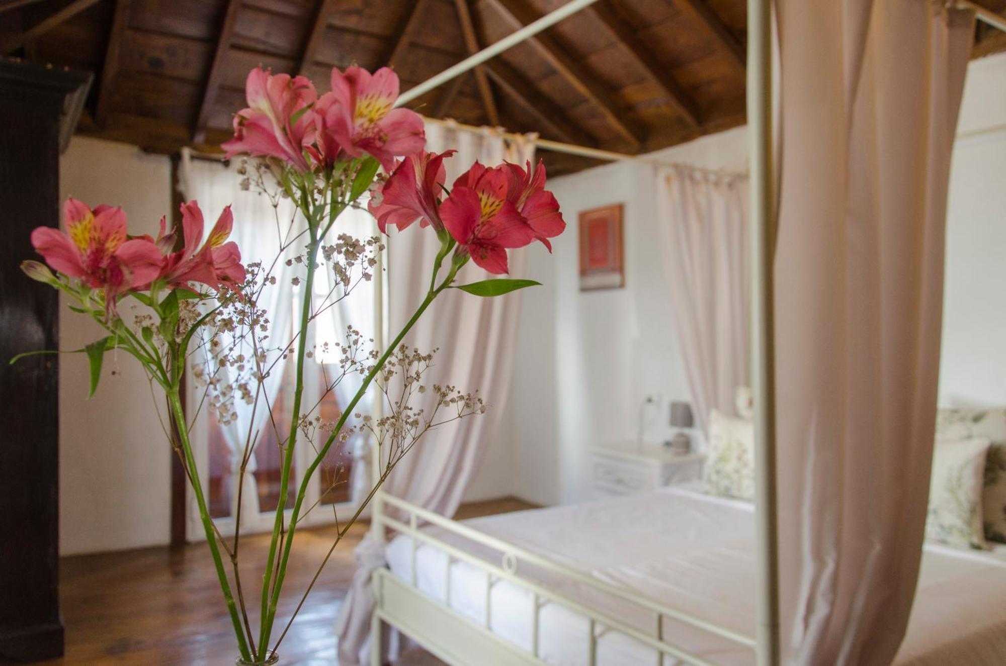 Hotel Rural Casona Santo Domingo Guimar Luaran gambar